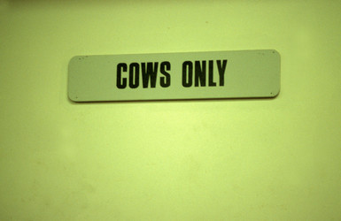 Similar image 8035409