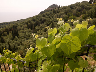 Similar image 8035413