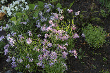 Similar image 8035414