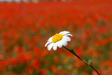 Similar image 8035423