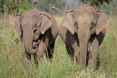 Similar image 8035424