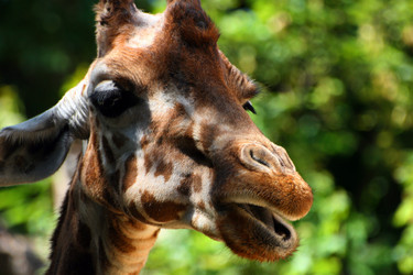 Similar image 8035426