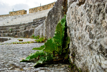 Similar image 8035428