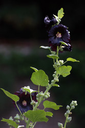 Similar image 8035434