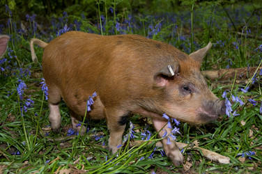 Similar image 8035438