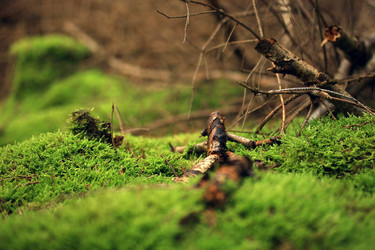 Similar image 8035439