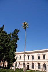 Similar image 8035448