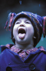 Similar image 8035450