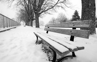 Similar image 8035454