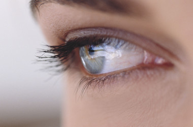 Similar image 8035458