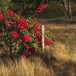 Similar image 8035459