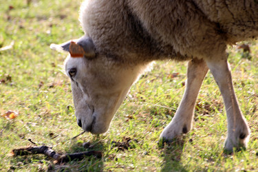 Similar image 8035471