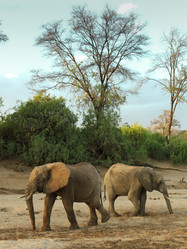 Similar image 8035475