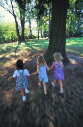 Similar image 8035479