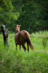 Similar image 8035481