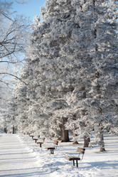 Similar image 8035482