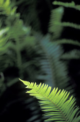 Similar image 8035488