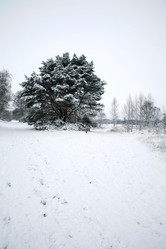 Similar image 8035503