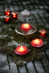 Similar image 8035511