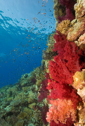 Similar image 8035513