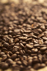 Similar image 8035521