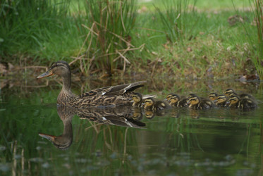 Similar image 8035534