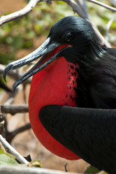 Similar image 8035548