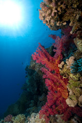 Similar image 8035549