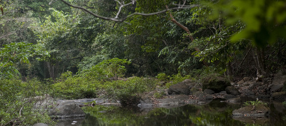 Similar image 8035550