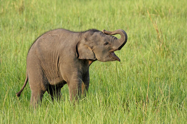 Similar image 8035551