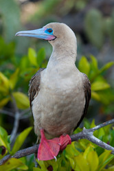 Similar image 8035561