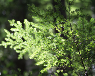 Similar image 8035562