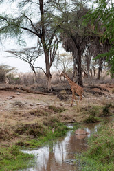 Similar image 8035564