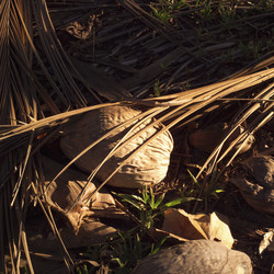 Similar image 8035565