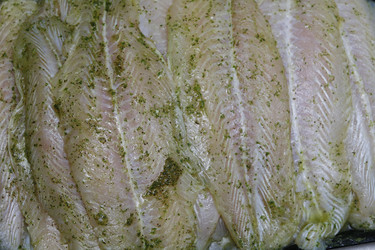 Similar image 8035567