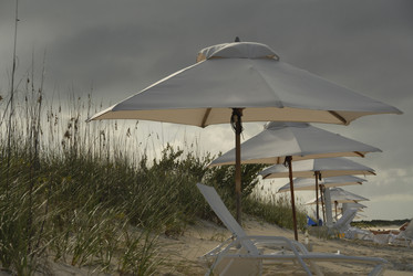 Similar image 8035569