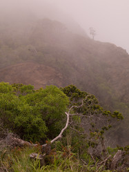 Similar image 8035584