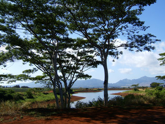 Similar image 8035585