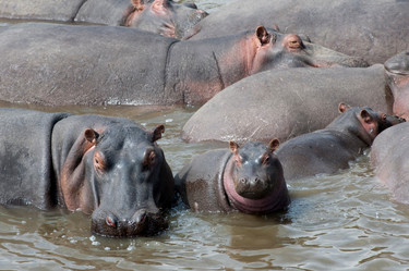 Similar image 8035590