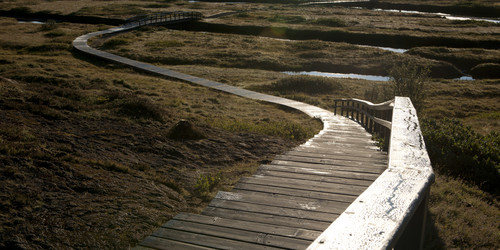 Similar image 8035594