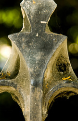 Similar image 8035595