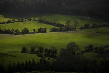 Similar image 8035597