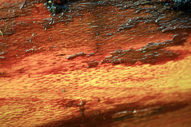 Similar image 8035608