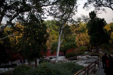 Similar image 8035610