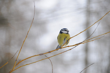 Similar image 8035615