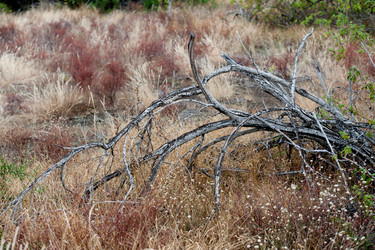 Similar image 8035617