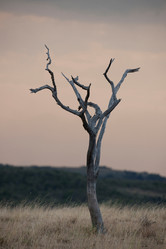 Similar image 8035619