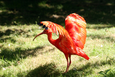 Similar image 8035638