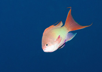 Similar image 8035639