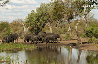 Similar image 8035640